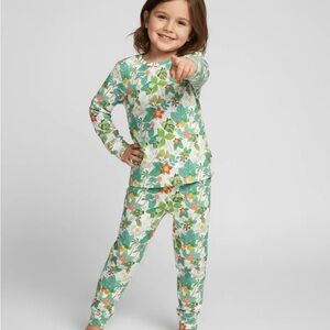 NWT Little Snuggles Moana - Pua & Hei Hei - Bamboo 2pc Pajama Set - size 2T